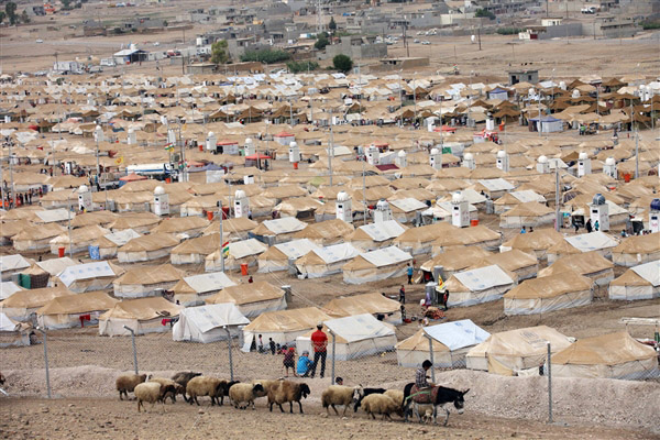 Syria Displacement Camps