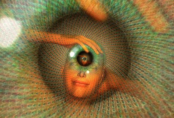 Pineal Gland