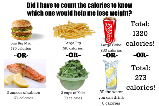 What Is A Calorie what-is-a-calorie
