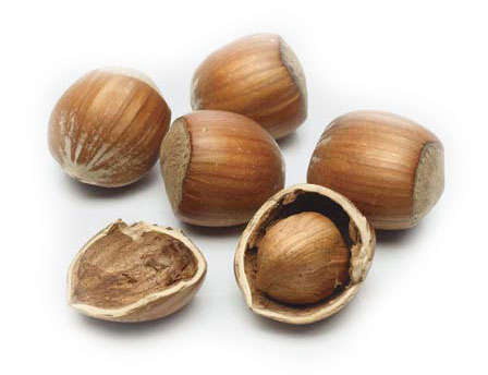 Hazelnuts