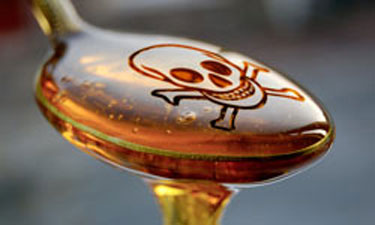 High Fructose Corn Syrup