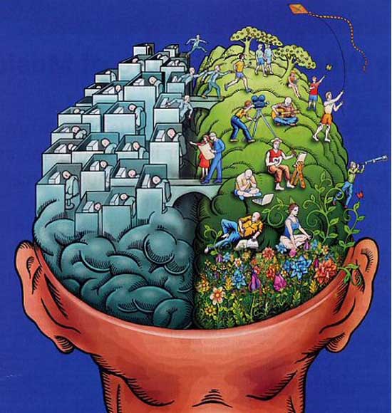 left brain vs. right brain