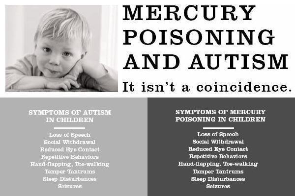 Image result for dangerous mercury