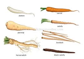 Root Vegetables