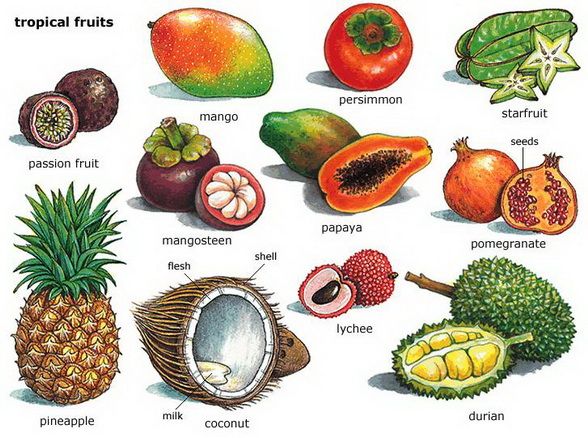 Tropical Fruit