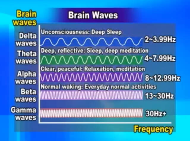 Foods that help brain health image 3