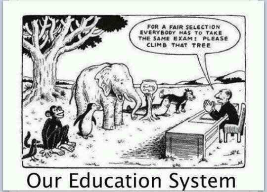 “Everybody is a genius. But if you judge a fish by its ability to climb a tree, it will live its whole life believing that it is stupid.” - Albert Einstein