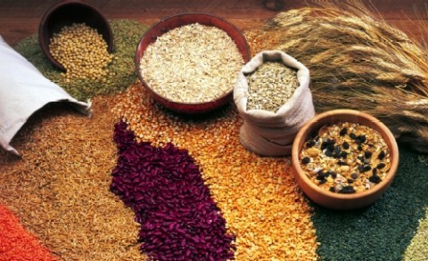 Grains