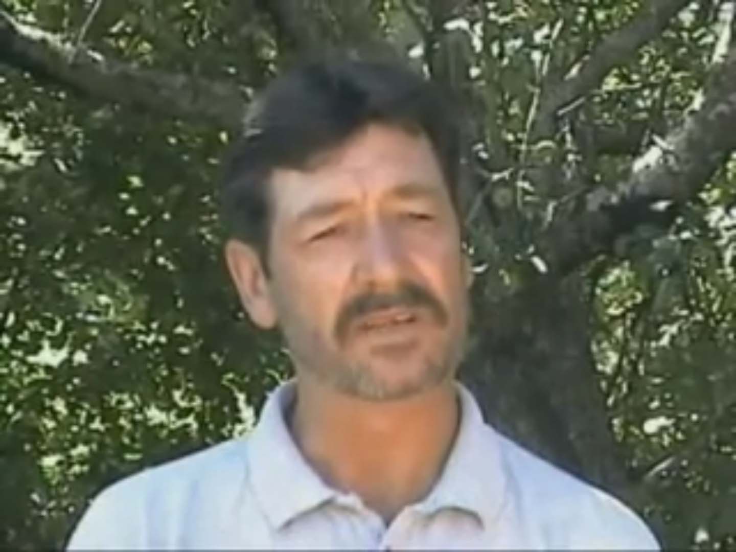 Rick Dwyer Rick Dwyer