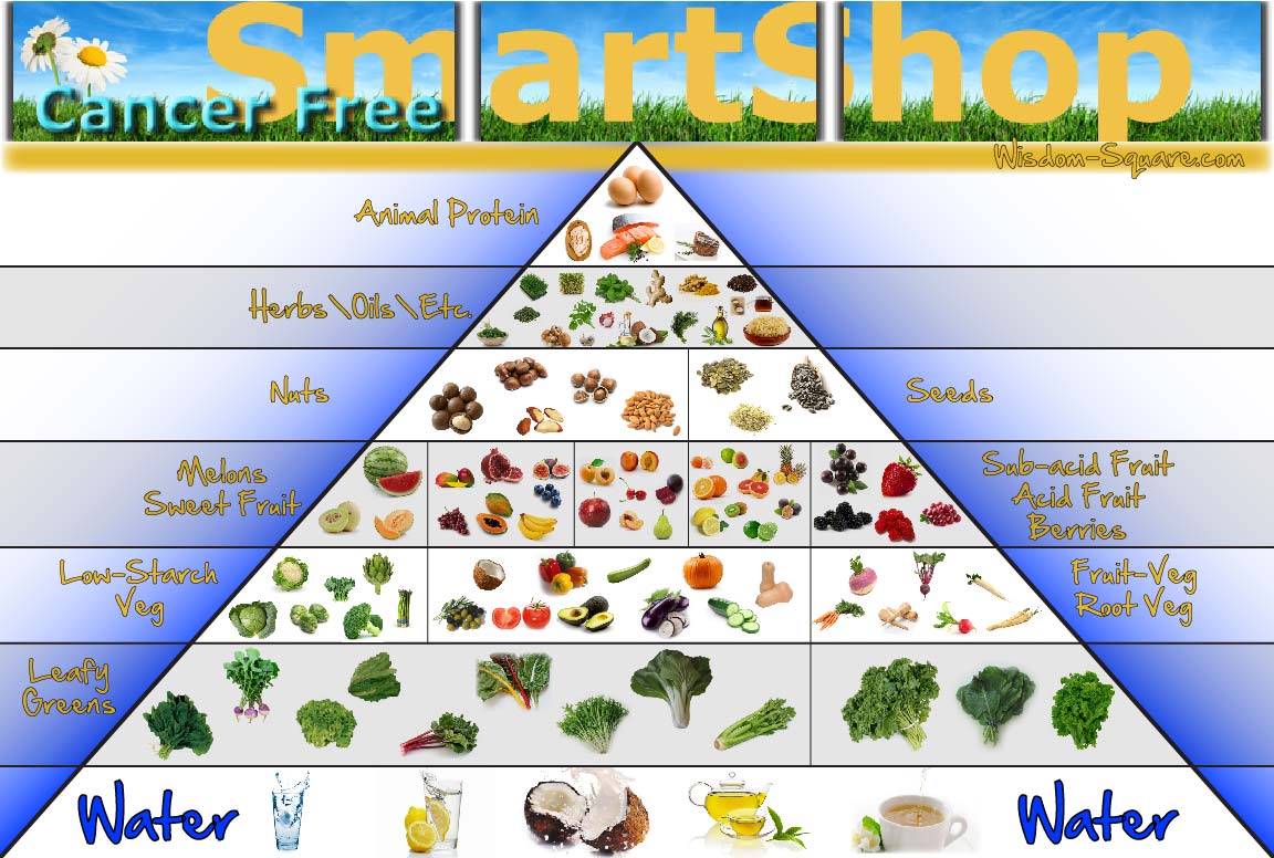 Gnosis Food Pyramid