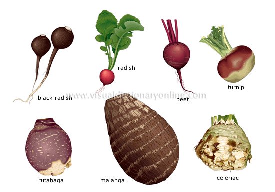 Root Vegetables